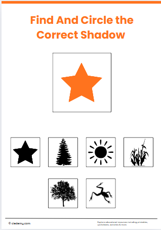 worksheet