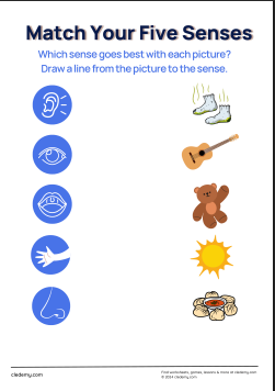 Five Senses Matching