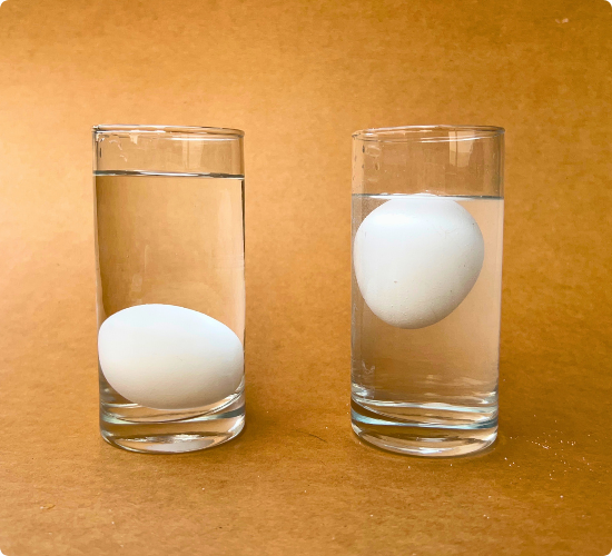 Floating Egg Science Experiment