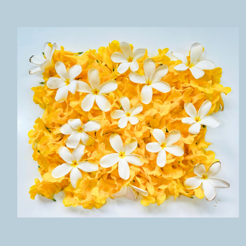 Flower Collage Activity