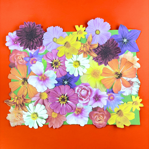 Flower Collage