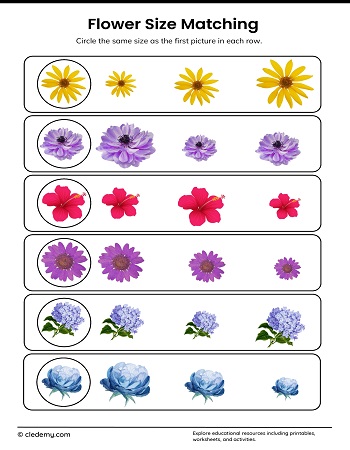 Flower Size Matching