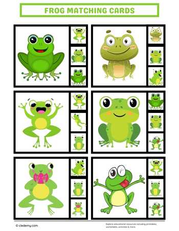 Frog Matching Cards