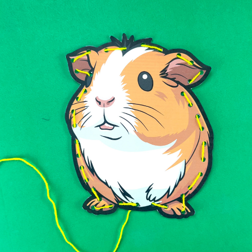 Guinea Pig Lacing Card