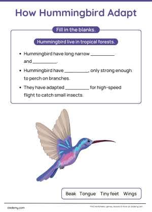 worksheet