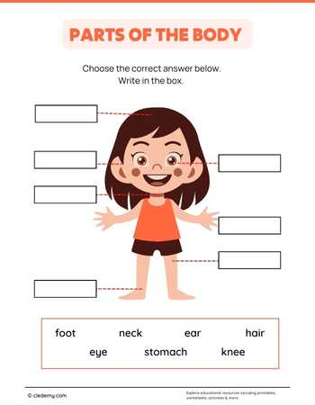 Learn About Human Anatomy
