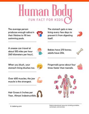Amazing Fun Facts About Human Body