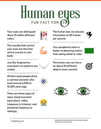 Amazing Human Eyes Fun Facts