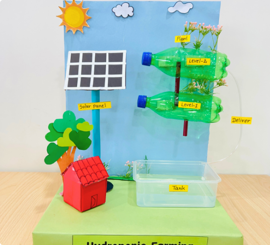 Hydroponic Farming Model