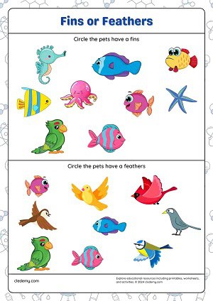 Identify Pets with Fins or Feathers