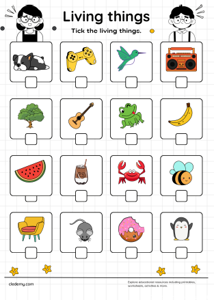 Identifying Living Things