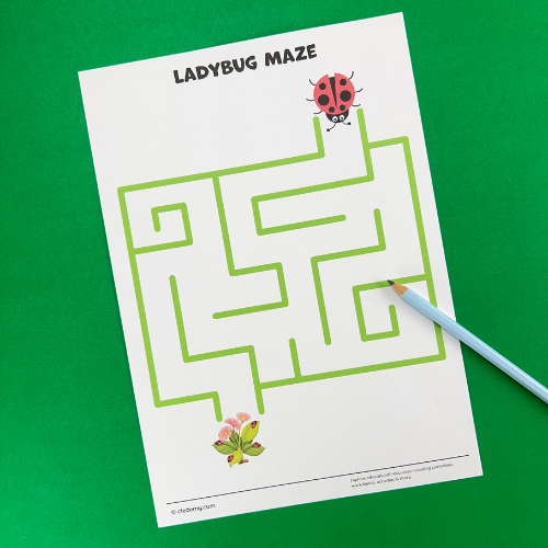 Ladybug Maze