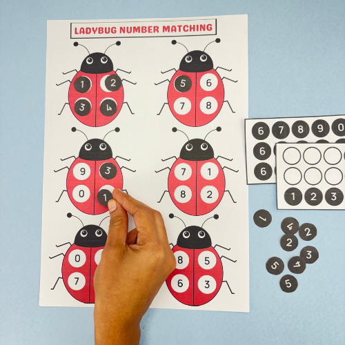 Ladybug Number Matching