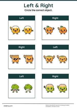 Learning Left and Right