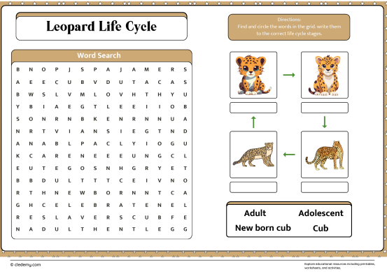 Leopard Life Cycle Word Search