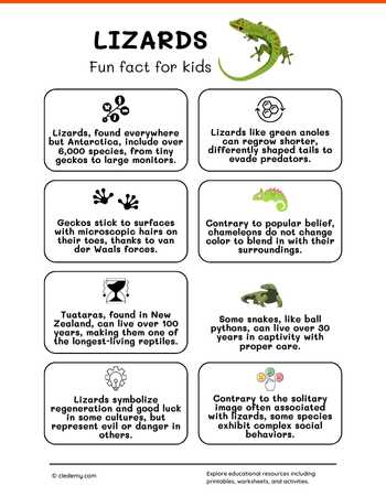 Cool Fun Facts About Lizards