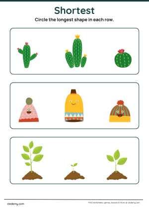 Which is Longest and Shortest?