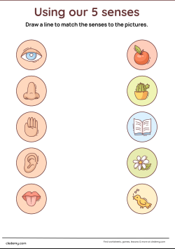 Match the 5 Senses with Their Pictures