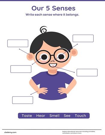 Discover How We Use Our 5 Senses