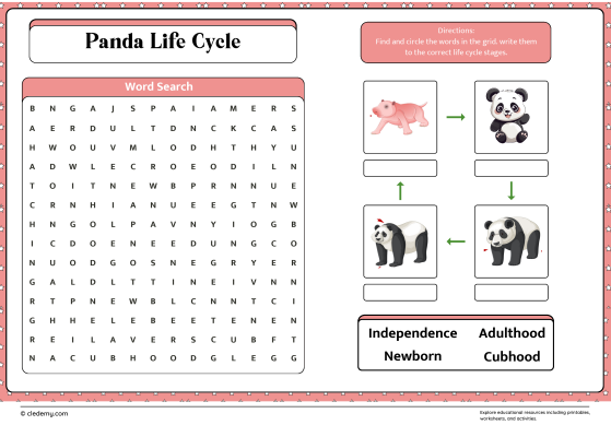 Panda Life Cycle Word Search