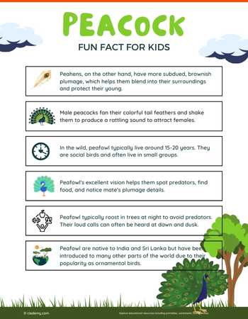 Peacock Fun Facts That Will Surprise You