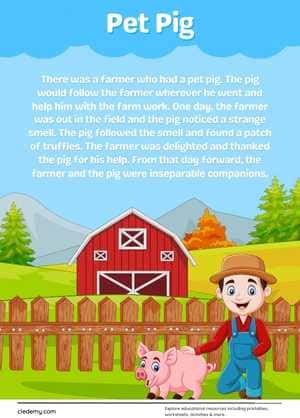 Pet Pig Stories