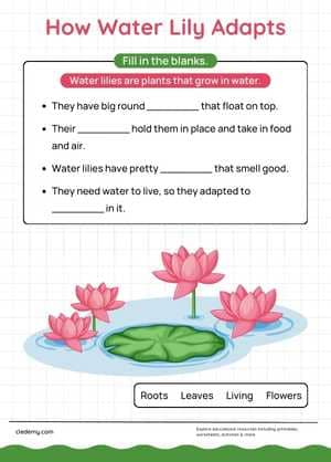 worksheet