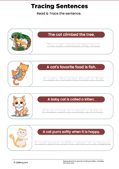 Cat Sentence Tracing