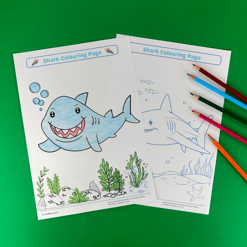 Shark Colouring Page