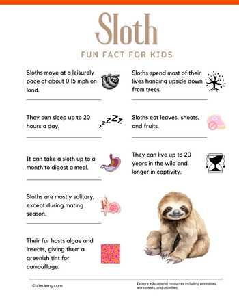 Surprising Fun Facts About Sloths