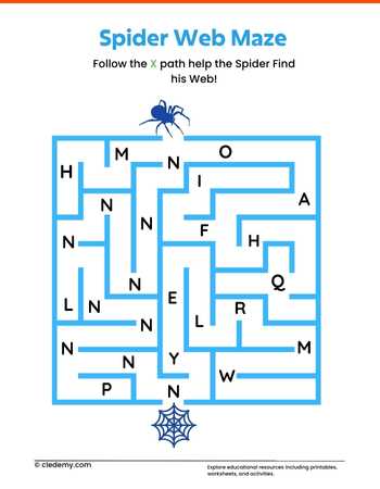 Spider Web Journey Maze
