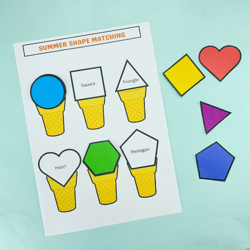 Summer Shape Matching