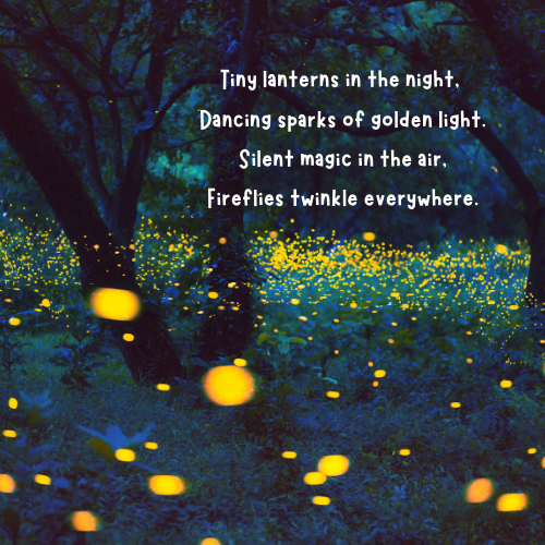 Teach Firefly Poems