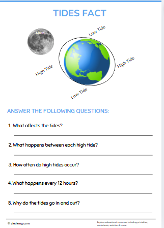 worksheet