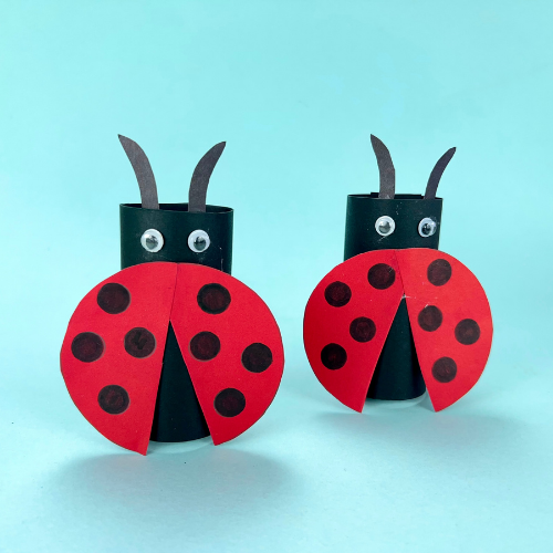 Toilet Paper Roll Ladybug