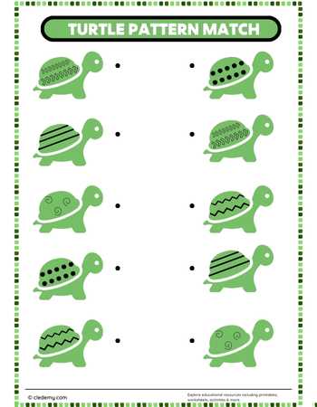 Turtle Pattern Fun