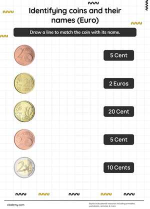 Understanding Euro Coins