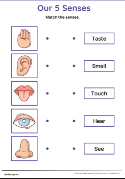 Discover How We Use Our 5 Senses